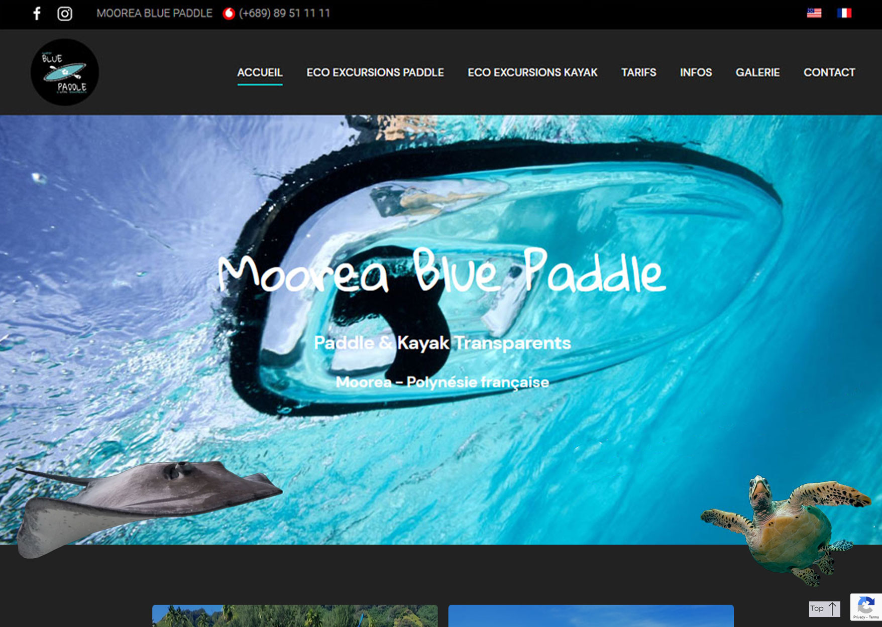 Moorea Blue Paddle